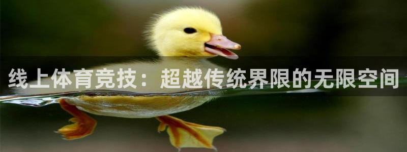杏宇体育平台注册：线上体育竞技：超越传统界限的无限空间