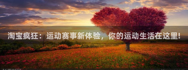 杏宇代理注册官网入口：淘宝疯狂：运动赛事新体验，你的运动生活在这里!