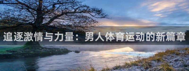 安徽京杏宇建材有限公司：追逐激情与力量：男人体育运动的新篇章
