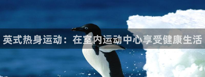 福建杏宇机电股份公司：英式热身运动：在室内运动中心享受健康生活