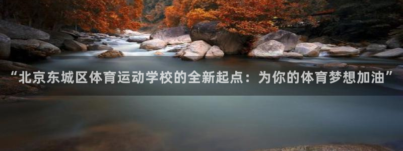 杏宇股份：“北京东城区体育运动学校的全新起点：为你的体育梦想加油”