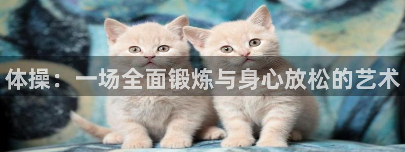 杏宇体育4：体操：一场全面锻炼与身心放松的艺术