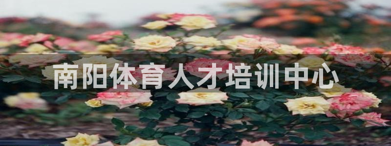 杏宇体育f开号：南阳体育人才培训中心