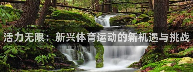 杏宇2注册：活力无限：新兴体育运动的新机遇与挑战