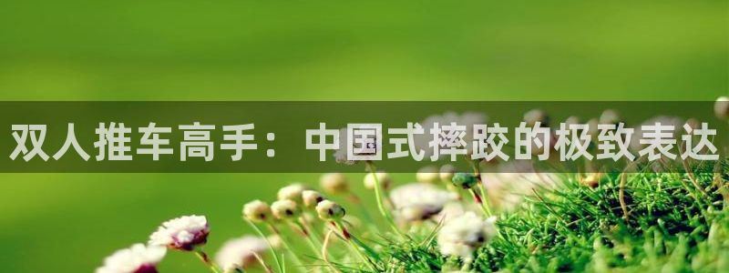 杏宇2登录地址：双人推车高手：中国式摔跤的极致表达