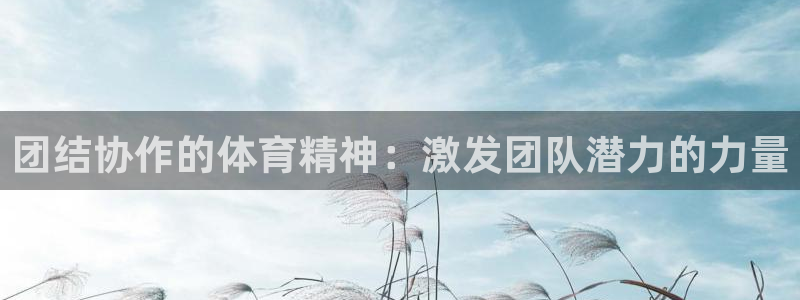 杏宇体育凯捷平台注册：团结协作的体育精神：激发团队潜力的力量