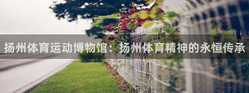 杏宇能源