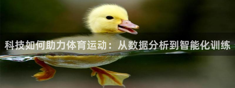 杏宇体育官网入口登录：科技如何助力体育运动：从数据分析到智能化训练