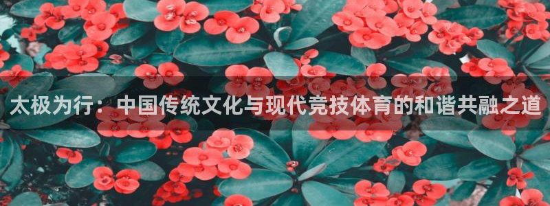杏宇体育代理：太极为行：中国传统文化与现代竞技体育的和谐共融之道