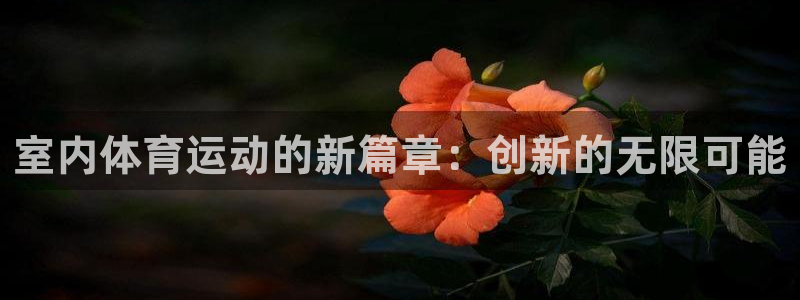 杏宇体育注册登录入口：室内体育运动的新篇章：创新的无限可能