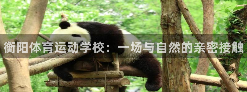 杏宇平台主管：衡阳体育运动学校：一场与自然的亲密接触