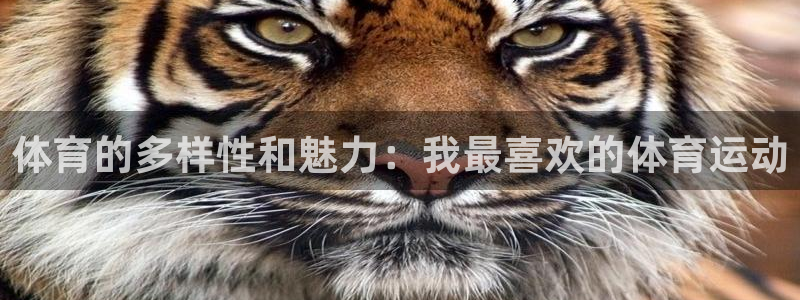杏宇平台注册：体育的多样性和魅力：我最喜欢的体育运动