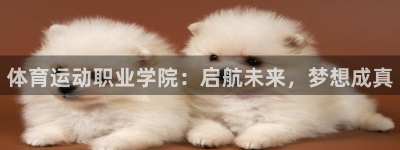 安徽京杏宇建材有限公司：体育运动职业学院：启航未来，梦想成真
