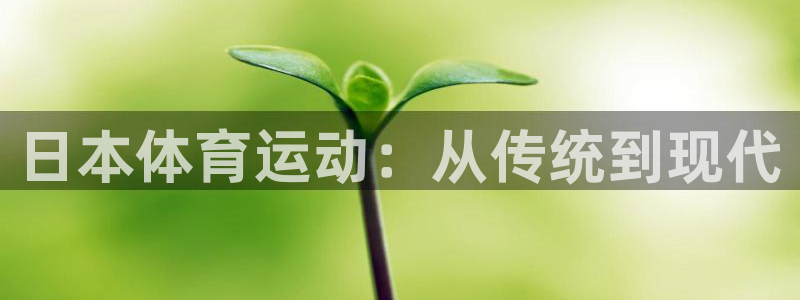 杏宇体育官网登录：日本体育运动：从传统到现代