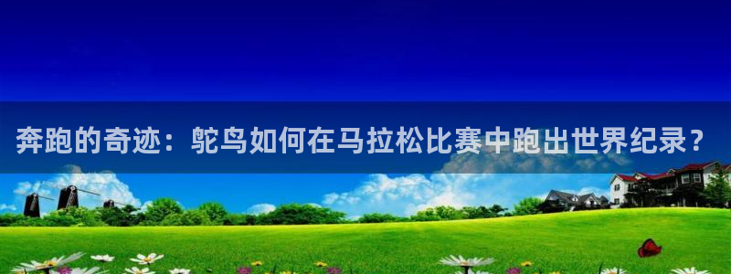 杏宇零能源集团：奔跑的奇迹：鸵鸟如何在马拉松比赛中跑出世界纪录？