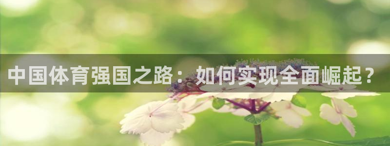 杏宇2注册：中国体育强国之路：如何实现全面崛起？