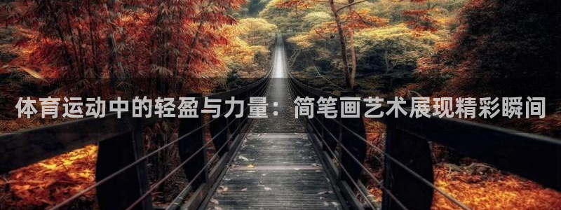 杏宇2登录：体育运动中的轻盈与力量：简笔画艺术展现精彩瞬间