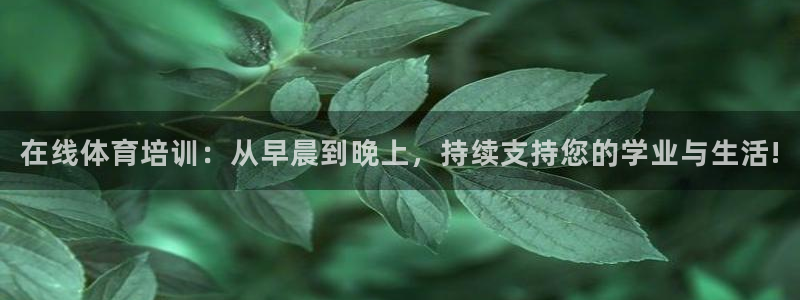 杏宇3登录：在线体育培训：从早晨到晚上，持续支持您的学业与生活!