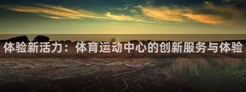 杏宇体育网页版入口：体验新活力：体育运动中心的创新服务与体验
