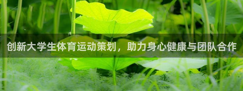 汾阳市杏宇酒业有限公司：创新大学生体育运动策划，助力身心健康与团队合作