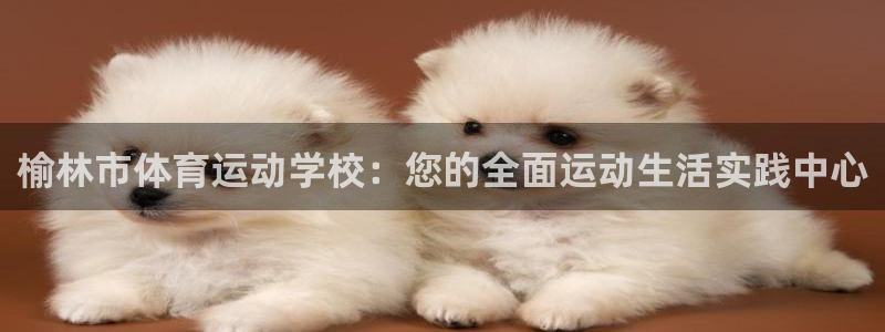 杏宇股份：榆林市体育运动学校：您的全面运动生活实践中心