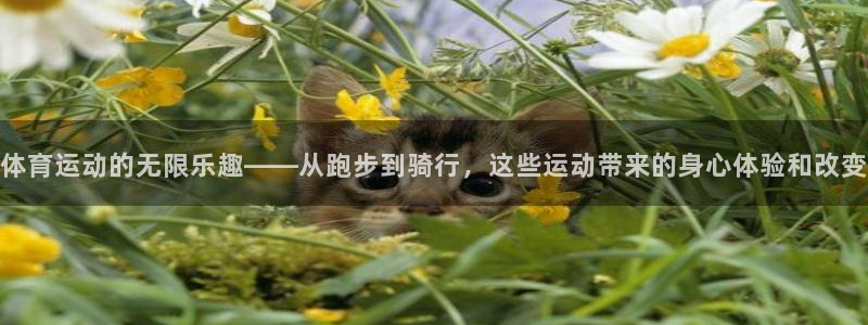 杏宇体育2官网入口：体育运动的无限乐趣——从跑步到骑行，这些运动带来的身心体验和改变