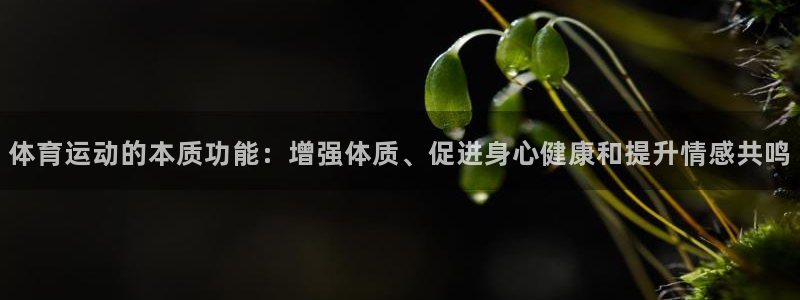杏宇平台总代理：体育运动的本质功能：增强体质、促进身心健康和提升情感共鸣