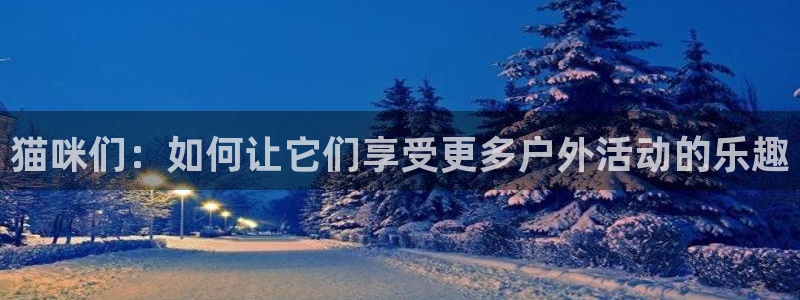 杏宇体育平台总代理：猫咪们：如何让它们享受更多户外活动的乐趣