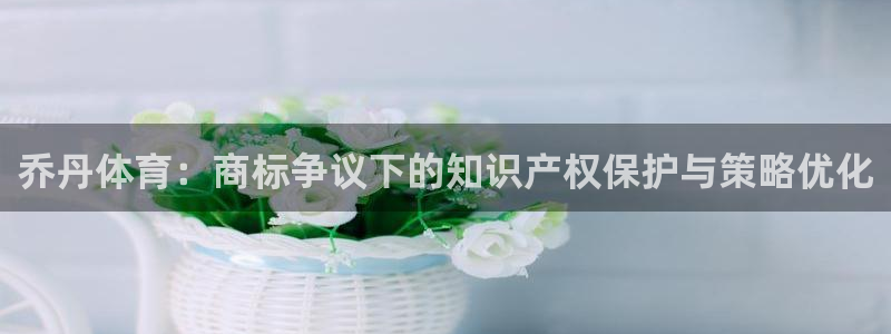 汾阳市杏宇酒业有限公司：乔丹体育：商标争议下的知识产权保护与策略优化