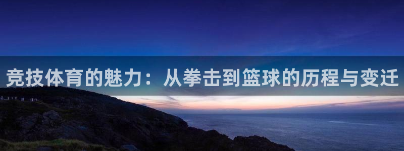 杏宇体育官网注册：竞技体育的魅力：从拳击到篮球的历程与变迁