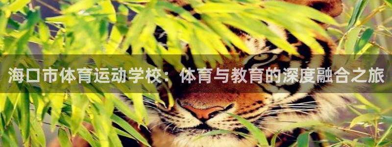 杏宇4登录：海口市体育运动学校：体育与教育的深度融合之旅