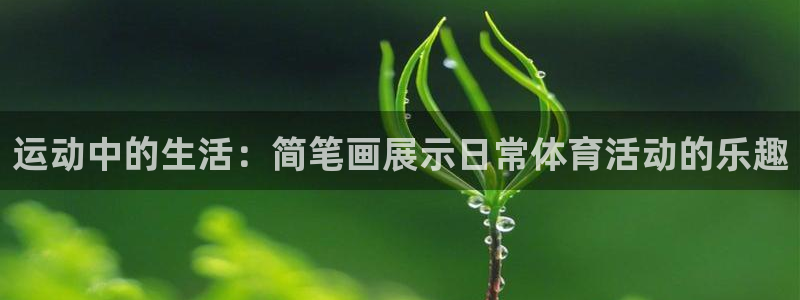 杏宇4登录：运动中的生活：简笔画展示日常体育活动的乐趣